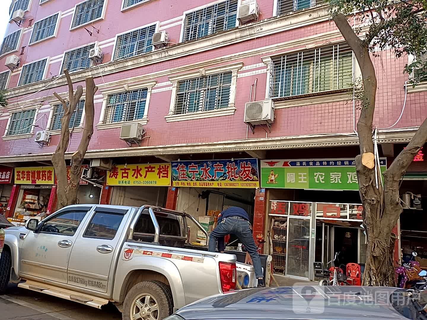 佳宁睡产批发