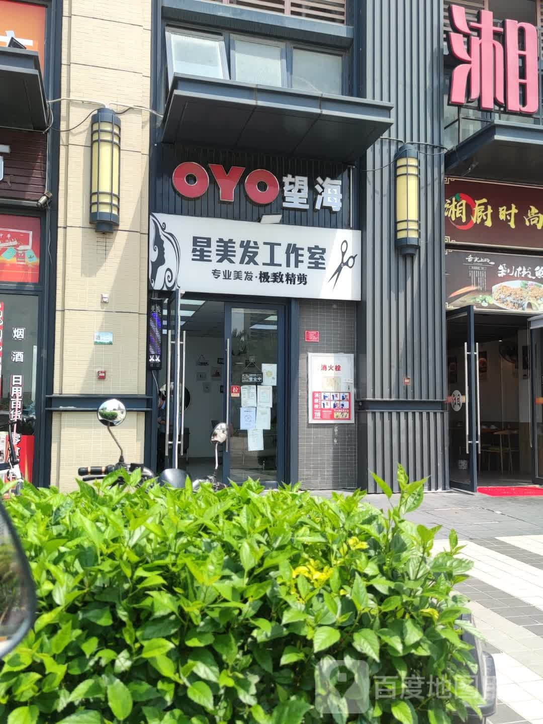 望海