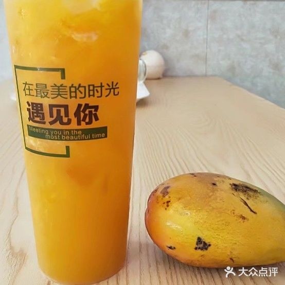 快鸟茶渡