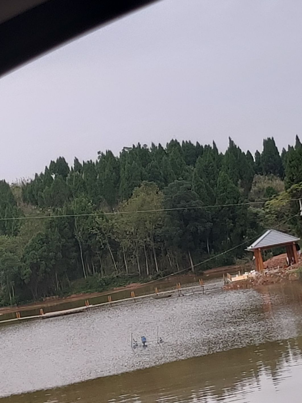 睦邻村生态鱼虾养殖垂钓基地