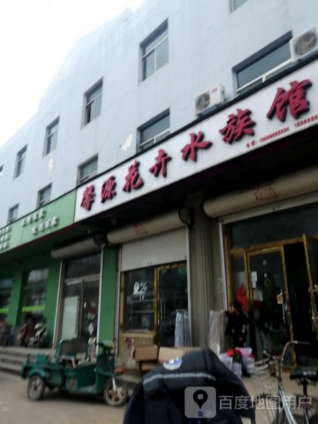 馨源花卉水族馆