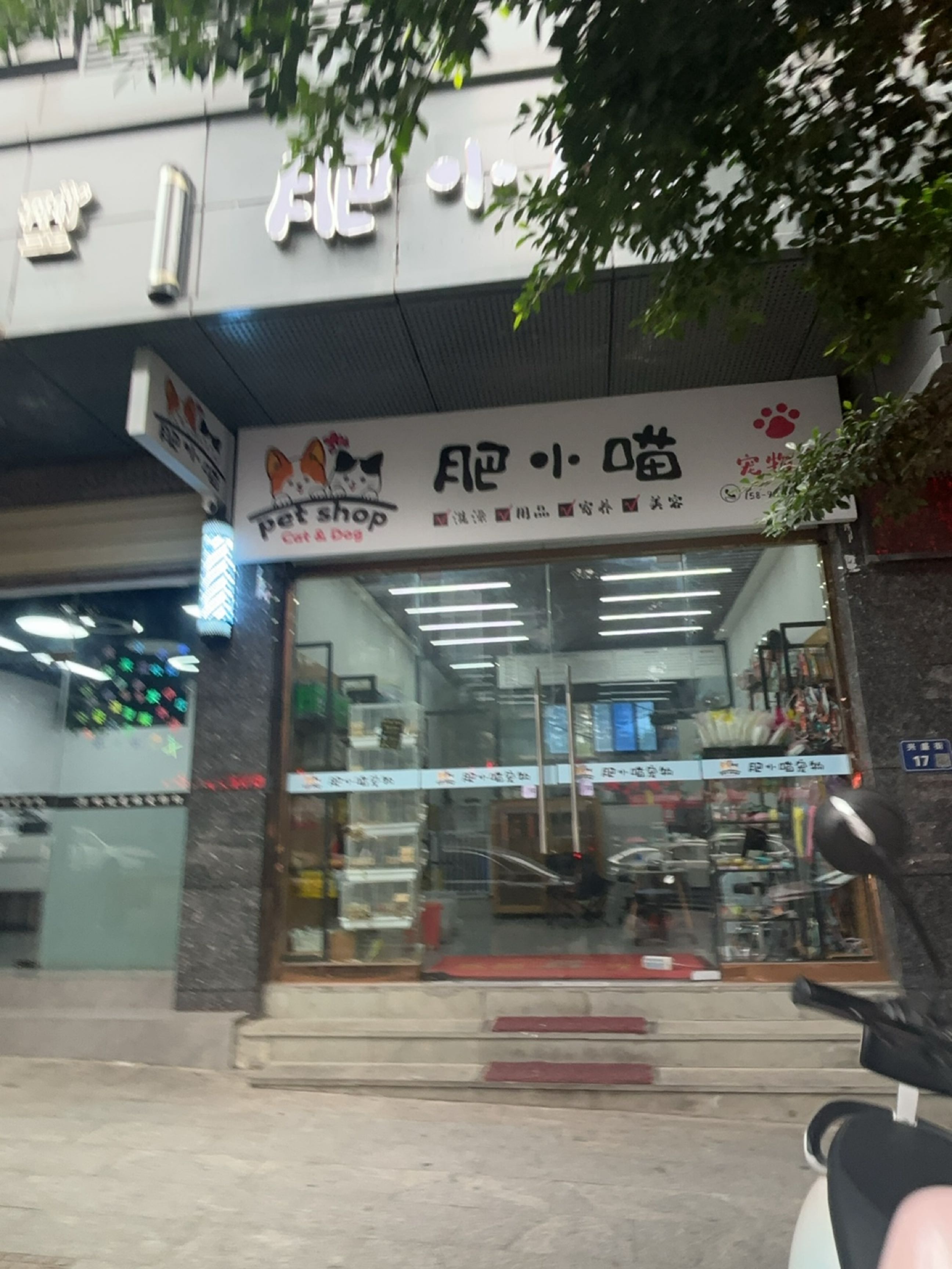 肥小喵宠物店