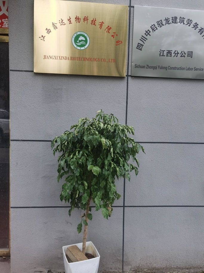 江西鑫达生物科技有限公司