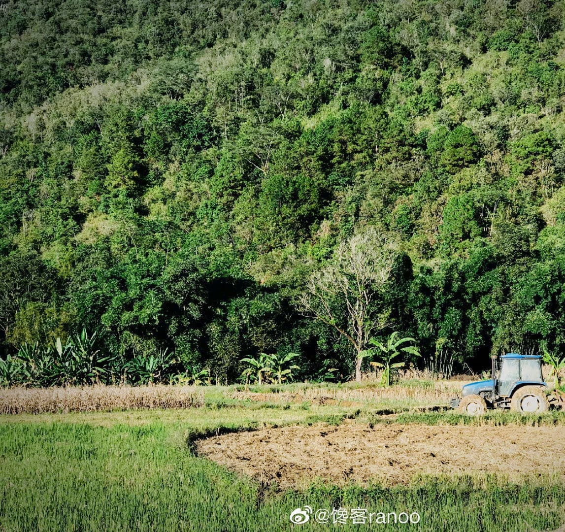 勐撒镇中心完小