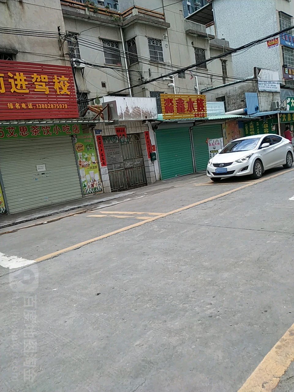 淼鑫水族