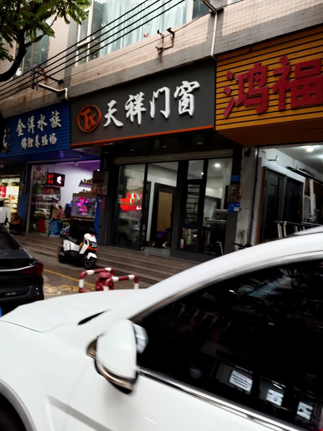 金洋水族