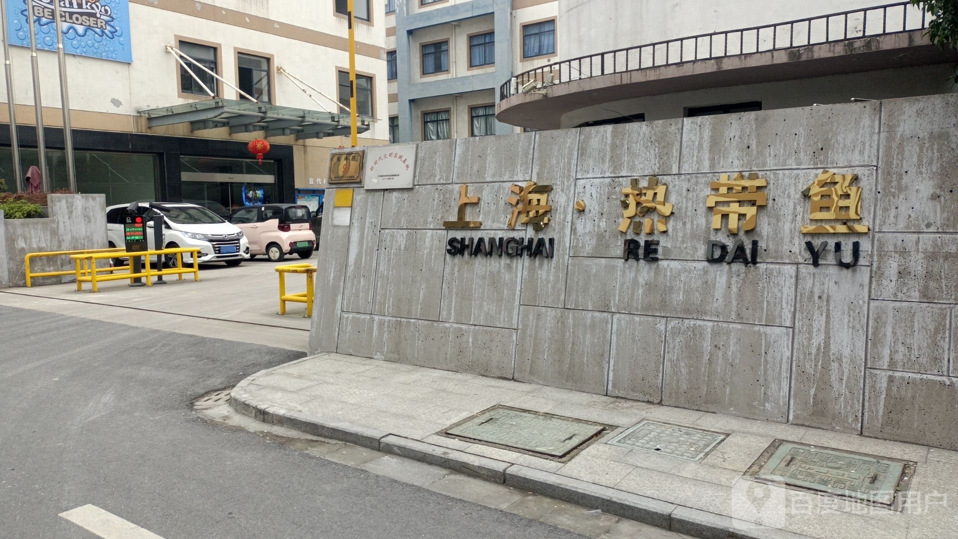 上海热带鱼童装