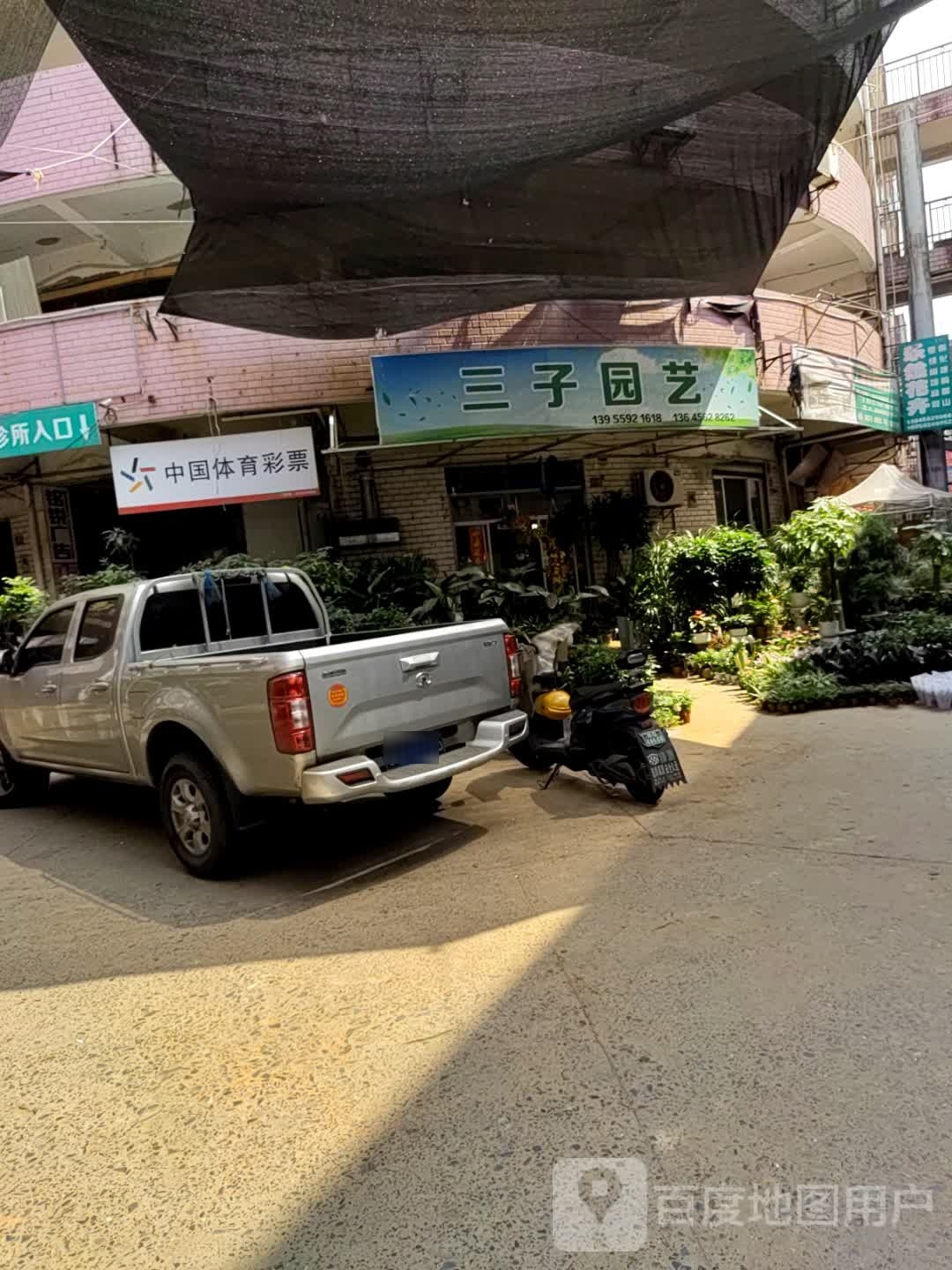 三子园艺花