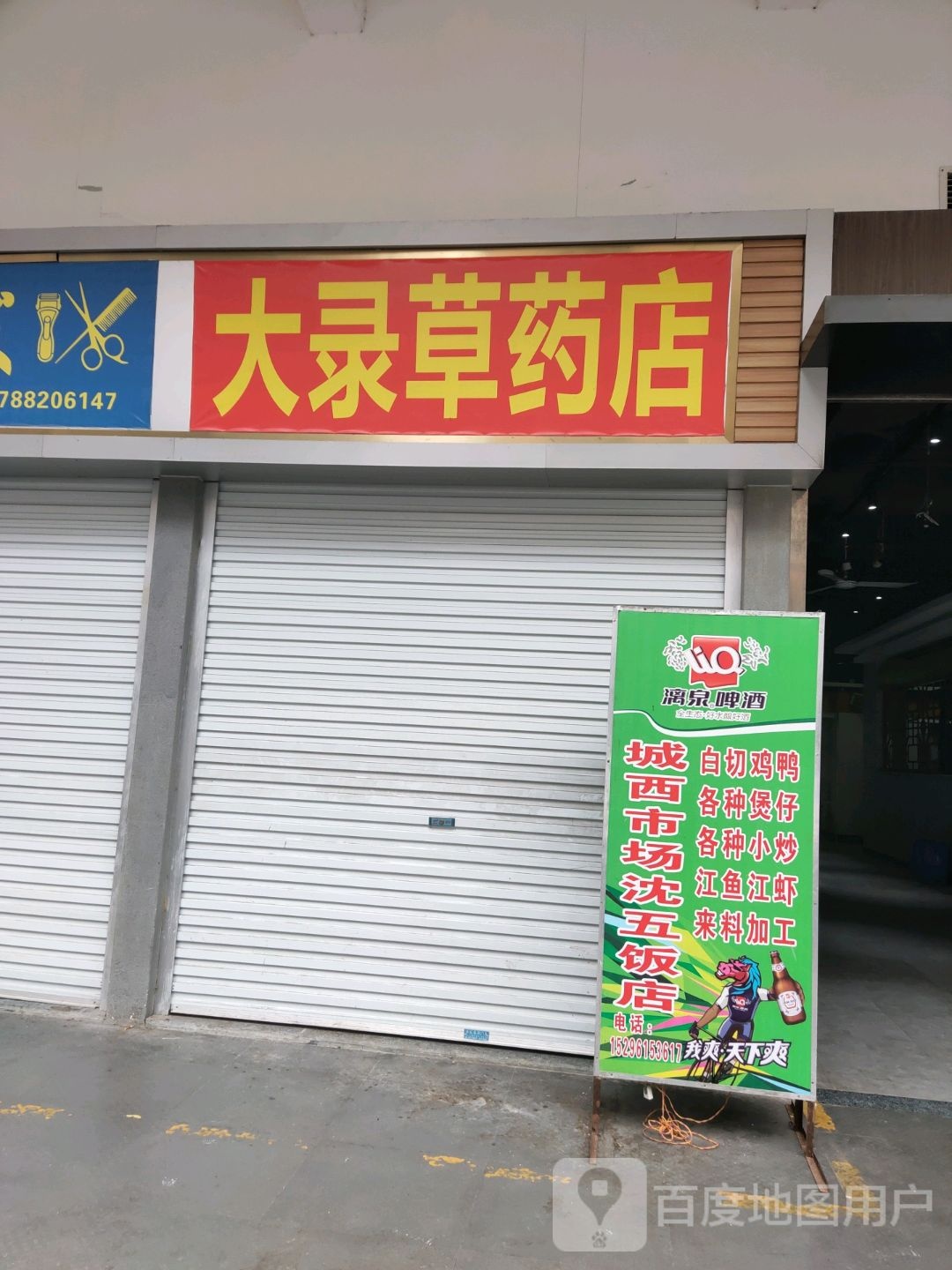 大录草药店