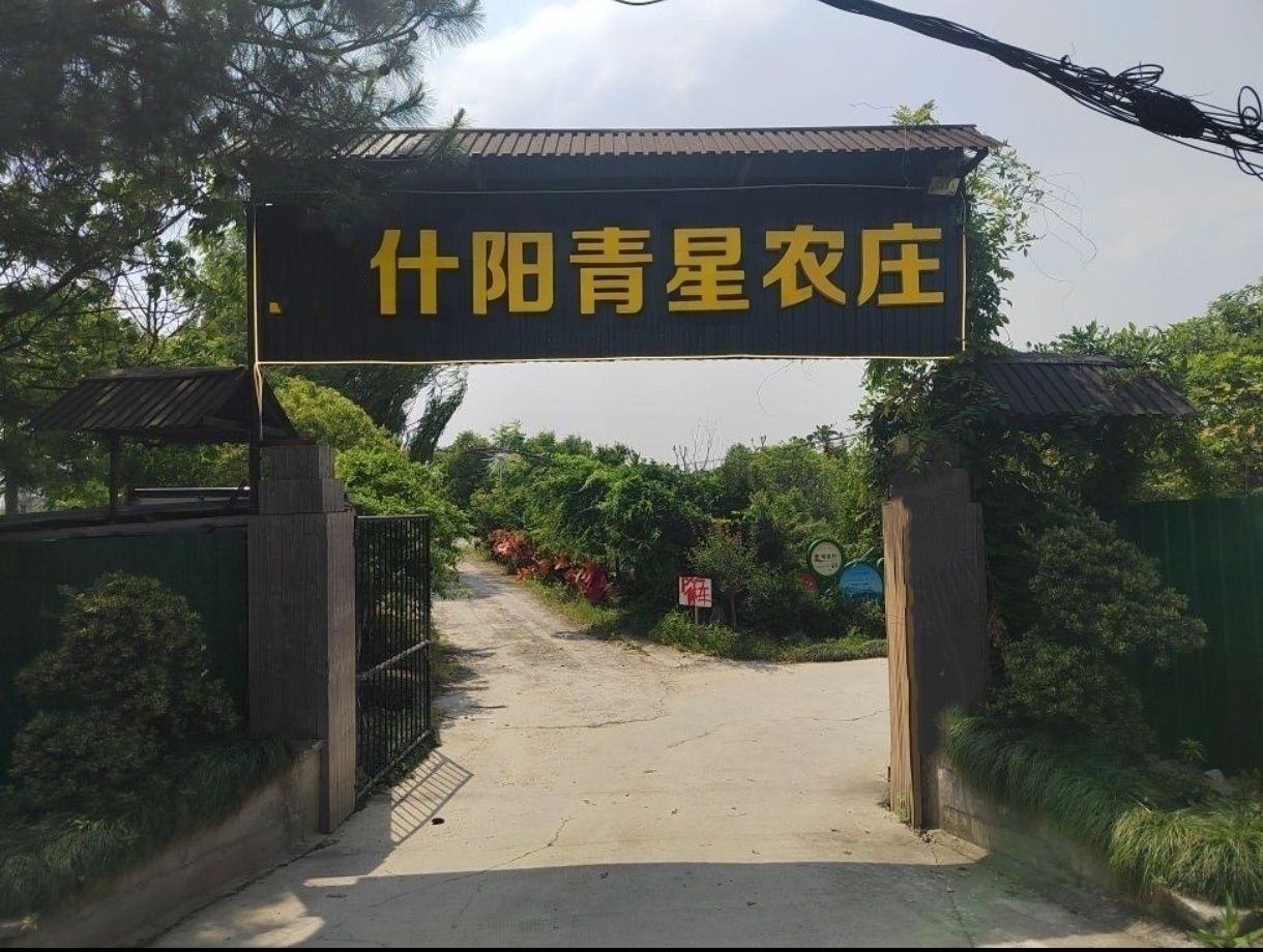 什阳青星农庄