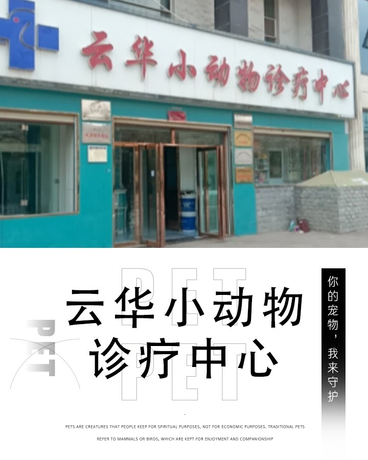 云华小动物诊疗中心(国际村店)