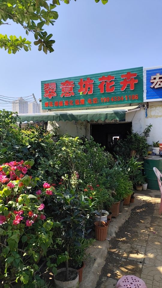翠意坊花卉