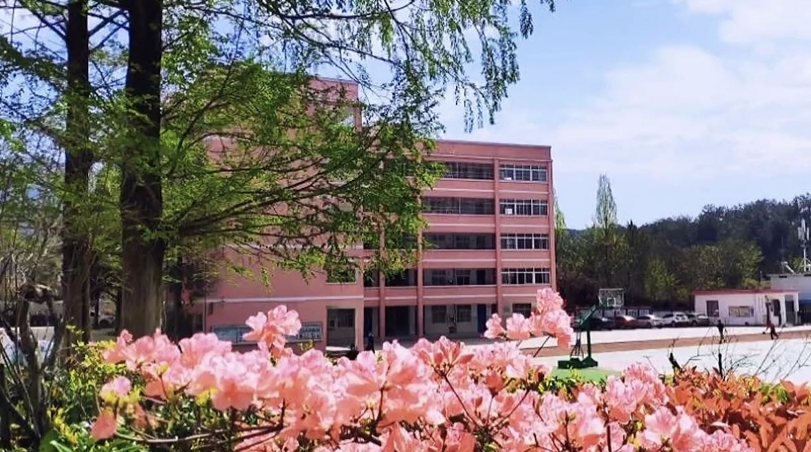 红杜鹃学校