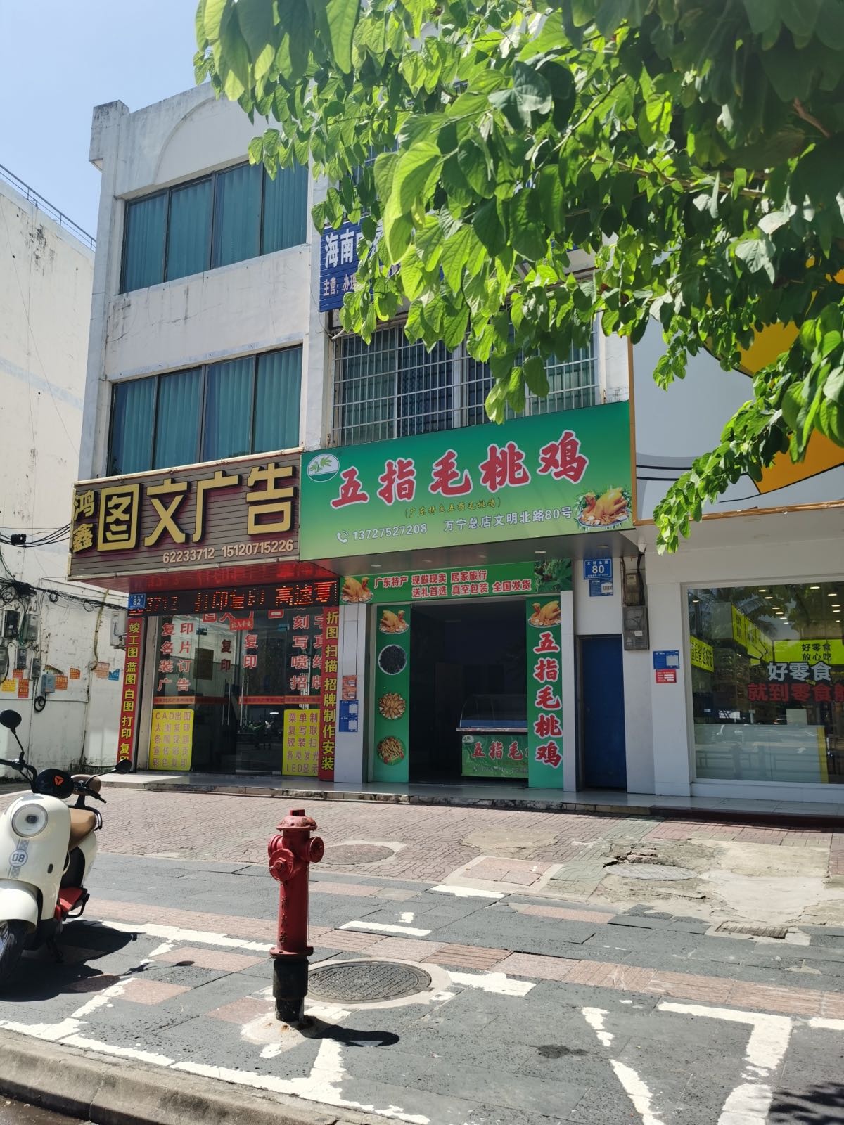 五指毛桃鸡(万宁总店)