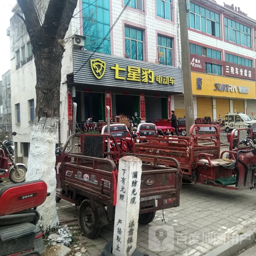 七星豹电动车(江淮中路店)