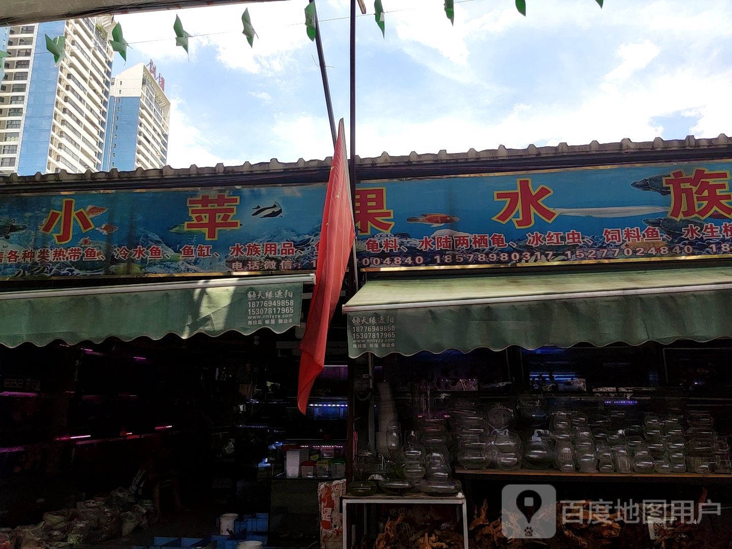 小苹果水族(南宁永和花鸟市场店)