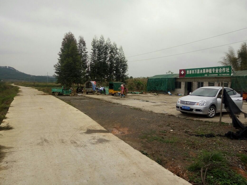 贵港市万昌水果种植专业合作社