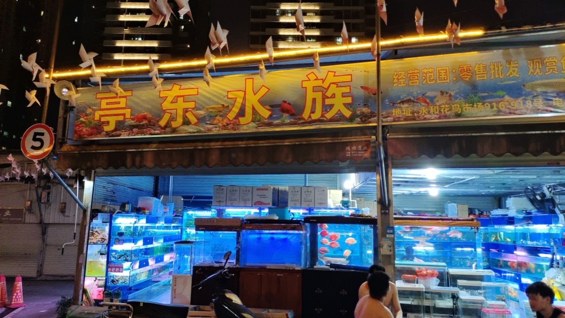 亭东水族(南宁永和花鸟市场店)