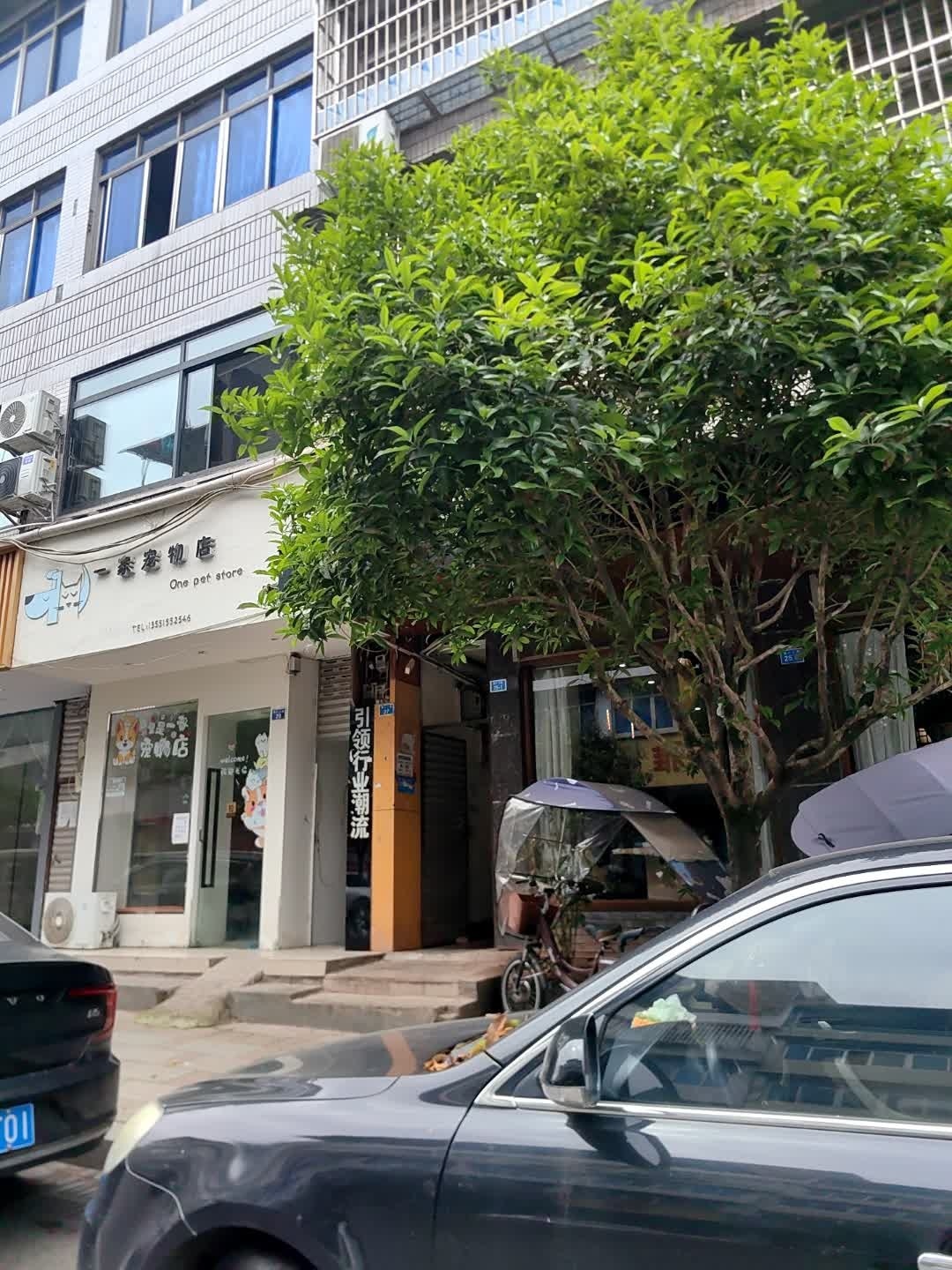 一家宠物店