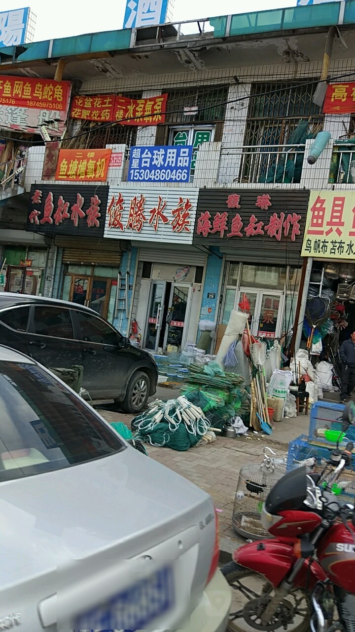 俊腾水族