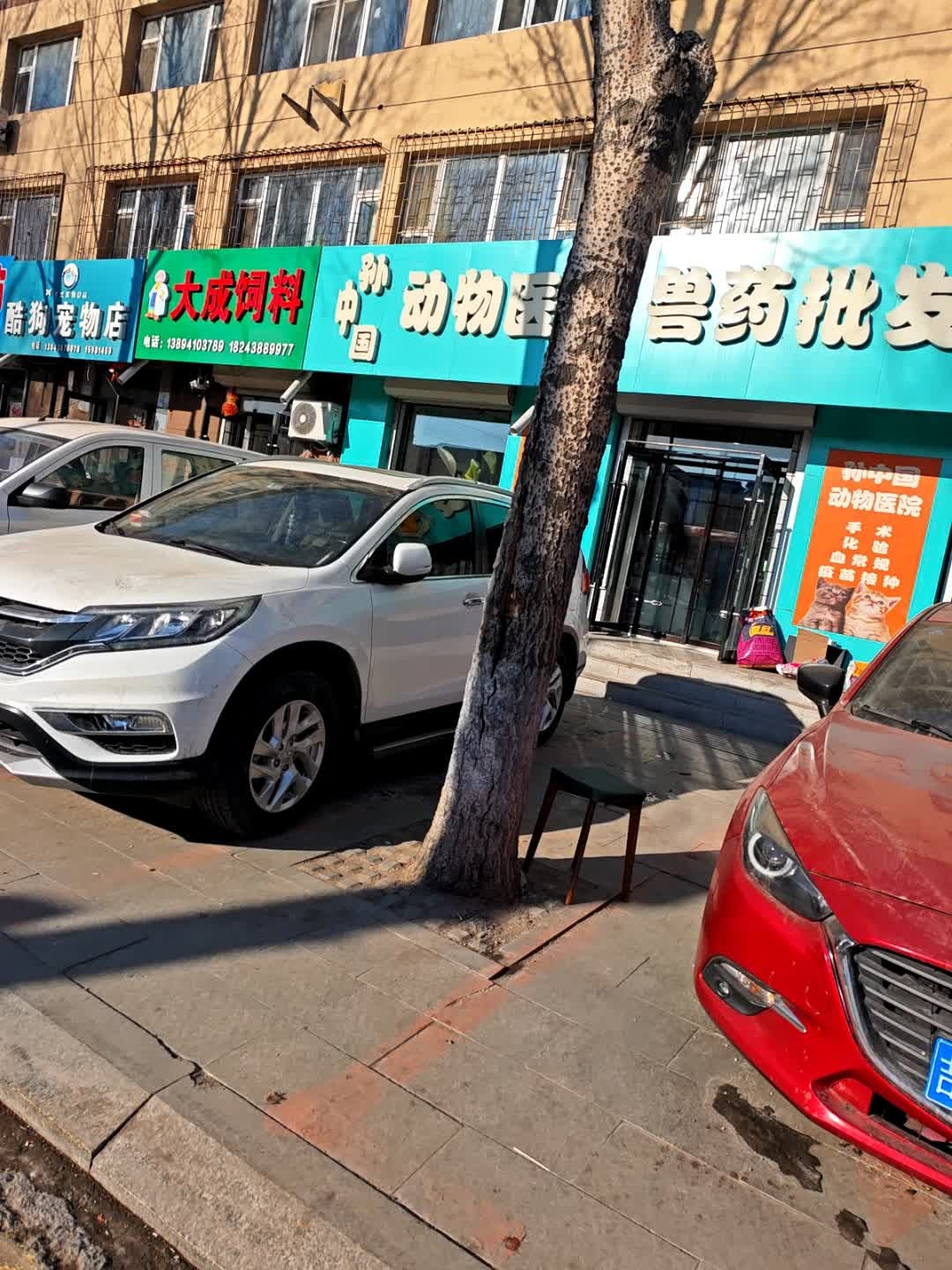 酷狗宠物店(长盛东路店)