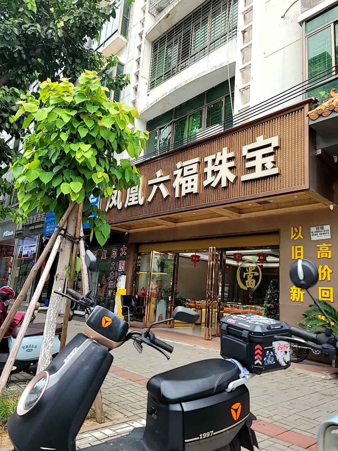 凤凰六福珠宝(骏发名宇店)