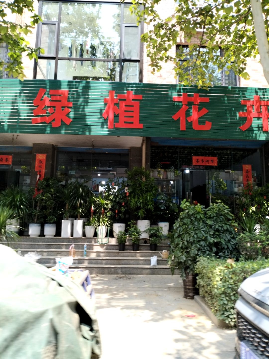 绿植花卉(西坛巷店)