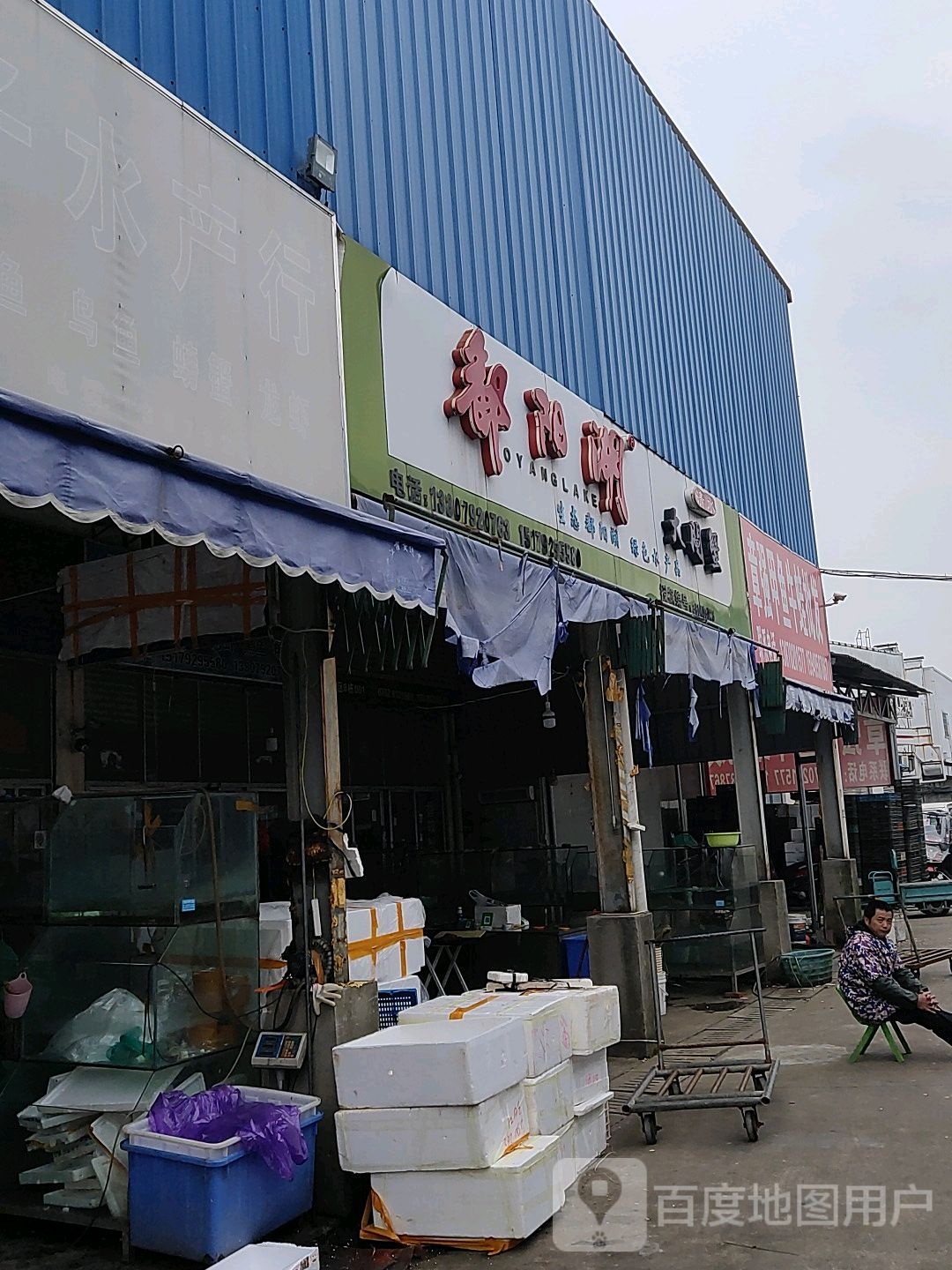 都阳湖大甲蟹