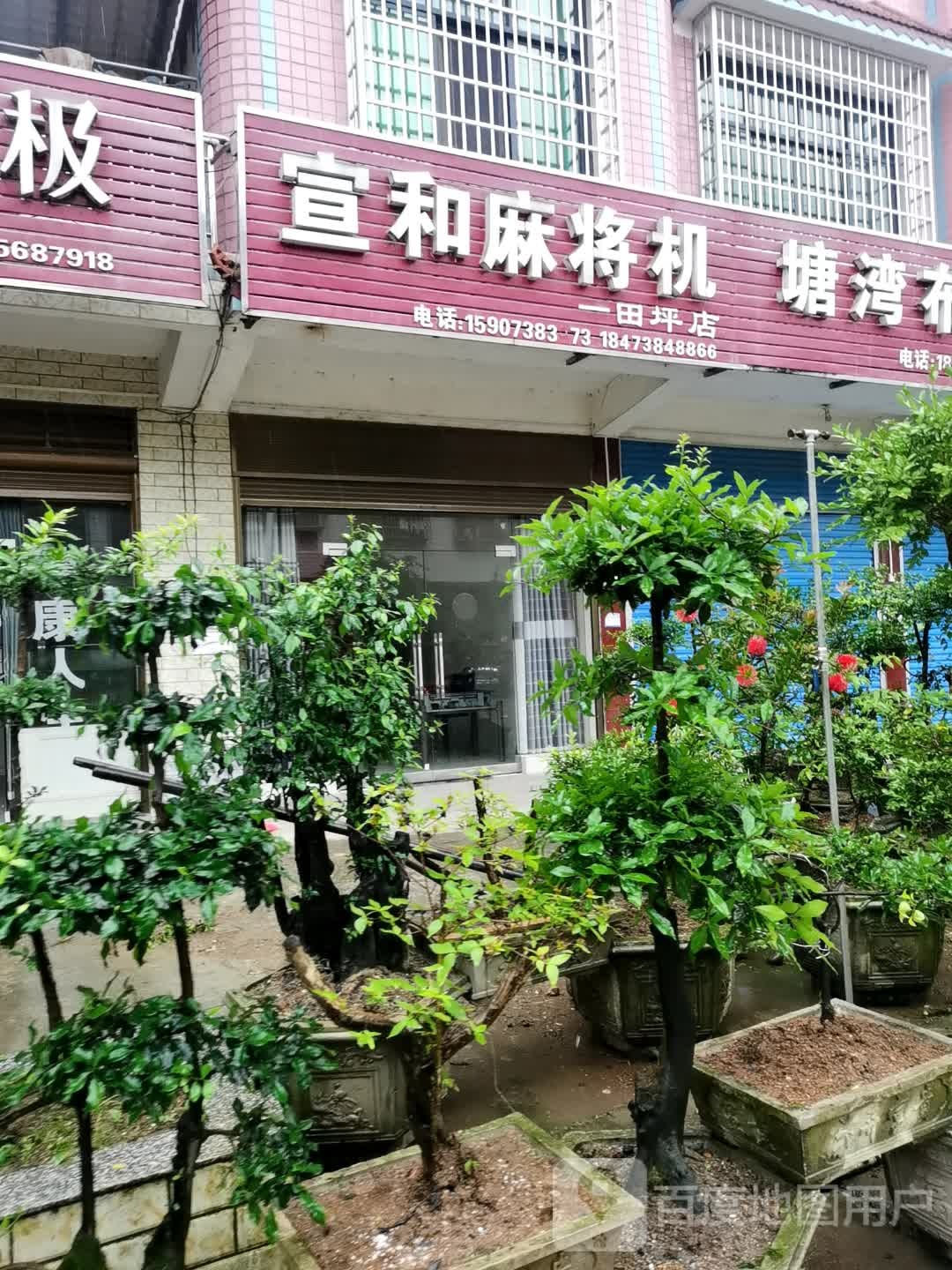 宣和麻将机(一天坪店)