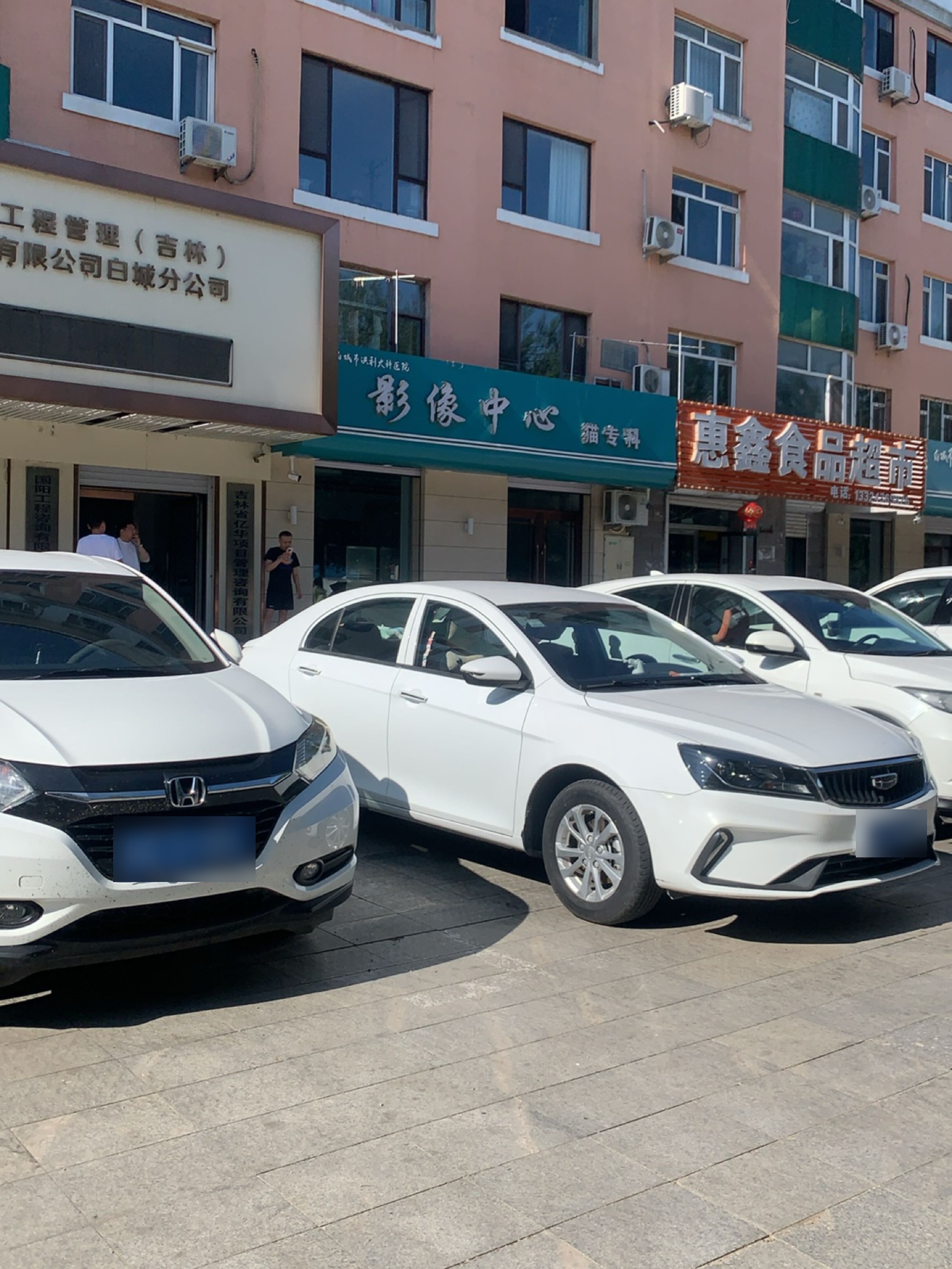 白城市洪利大科医院影像中心猫专科