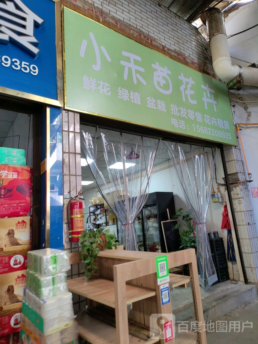 小禾苗花卉