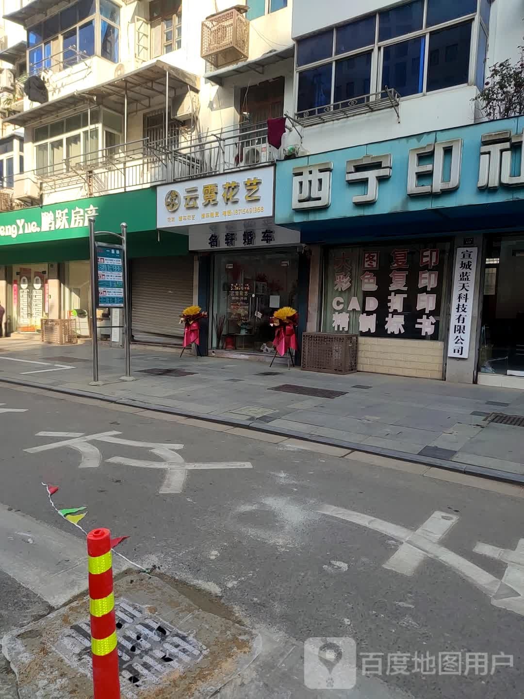 云霓花一