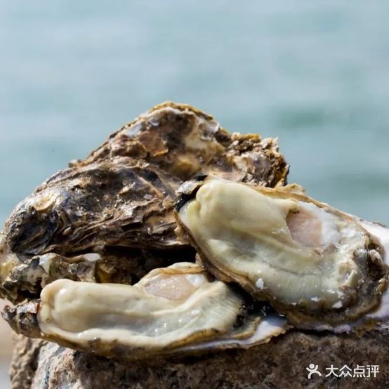蚝门云龙虾(生蚝专家)