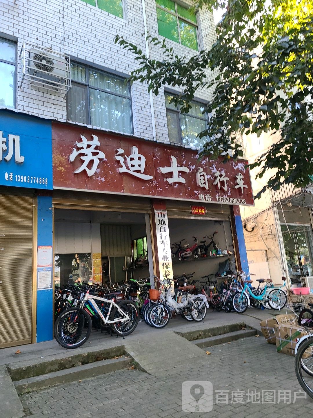 邓州市劳迪士自行车(文化路店)