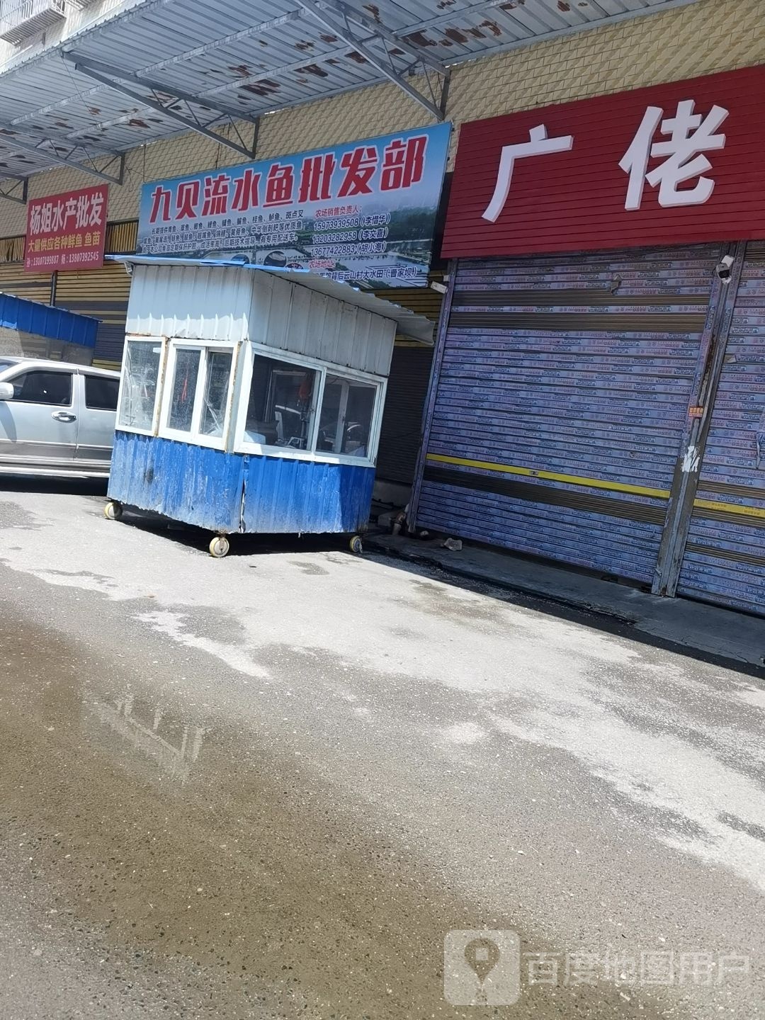 九贝流水鱼批发部