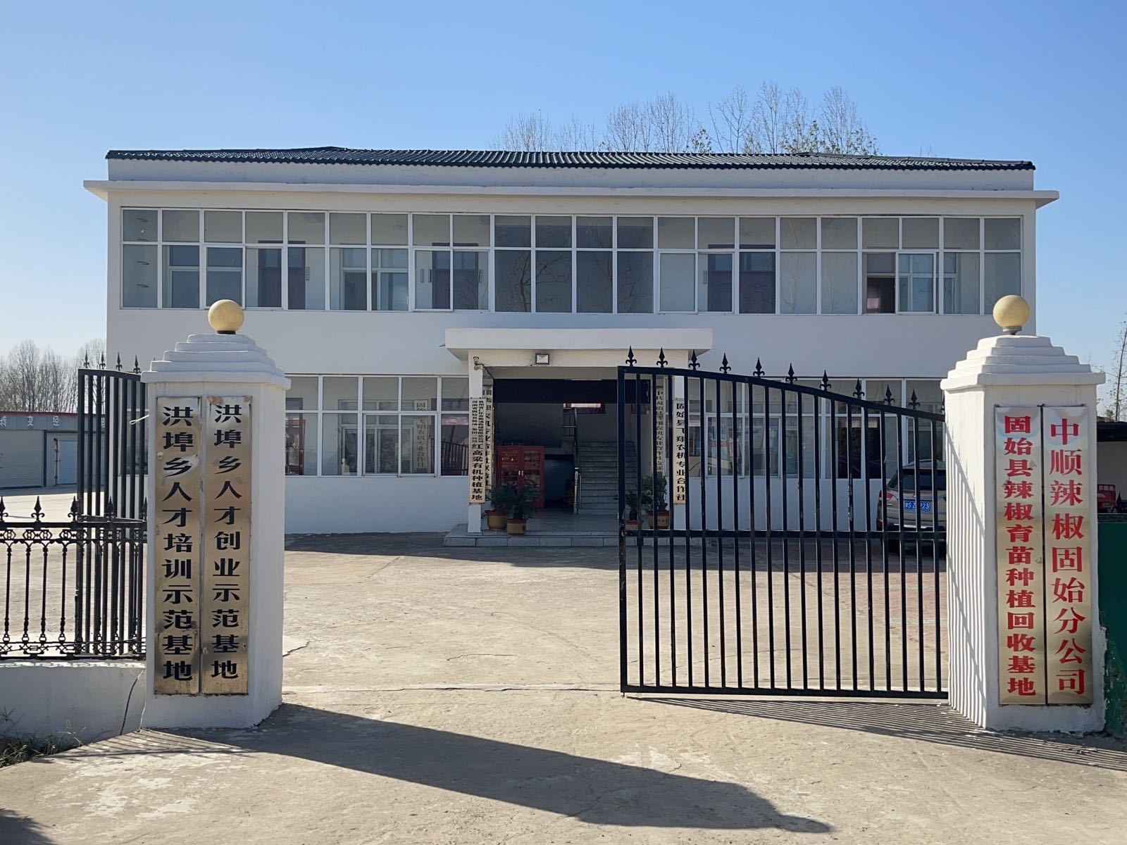 固始县辣椒育苗种植回收基地