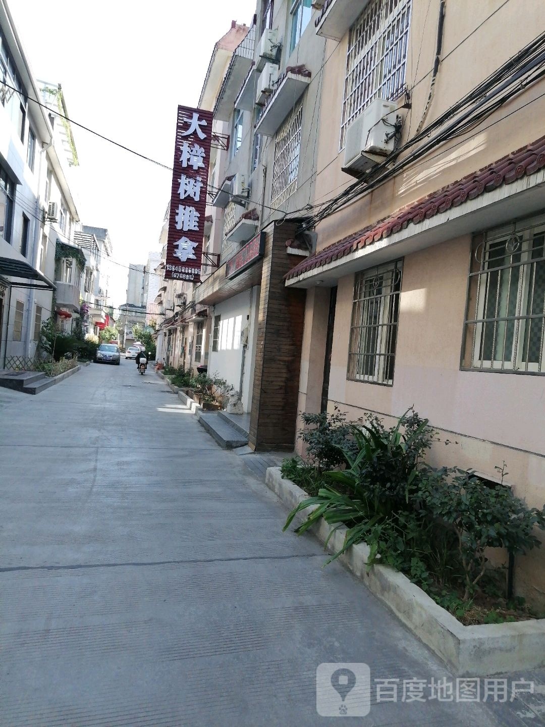 大樟树推拿