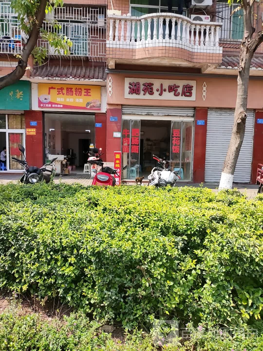 湖簦苑路诿小吃店