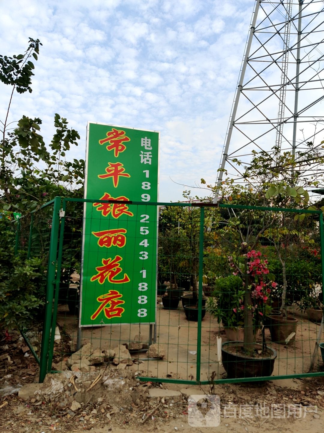 常平银丽花店