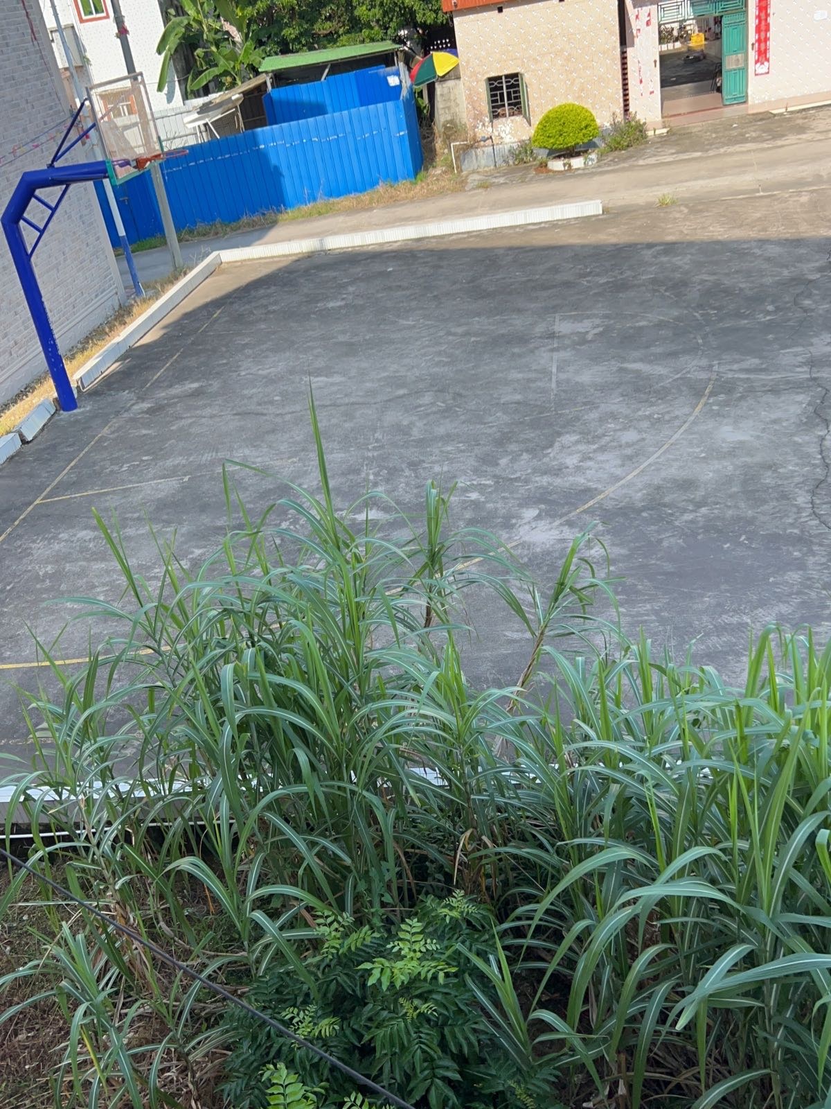 潭桥田屋村蓝球场文化广场