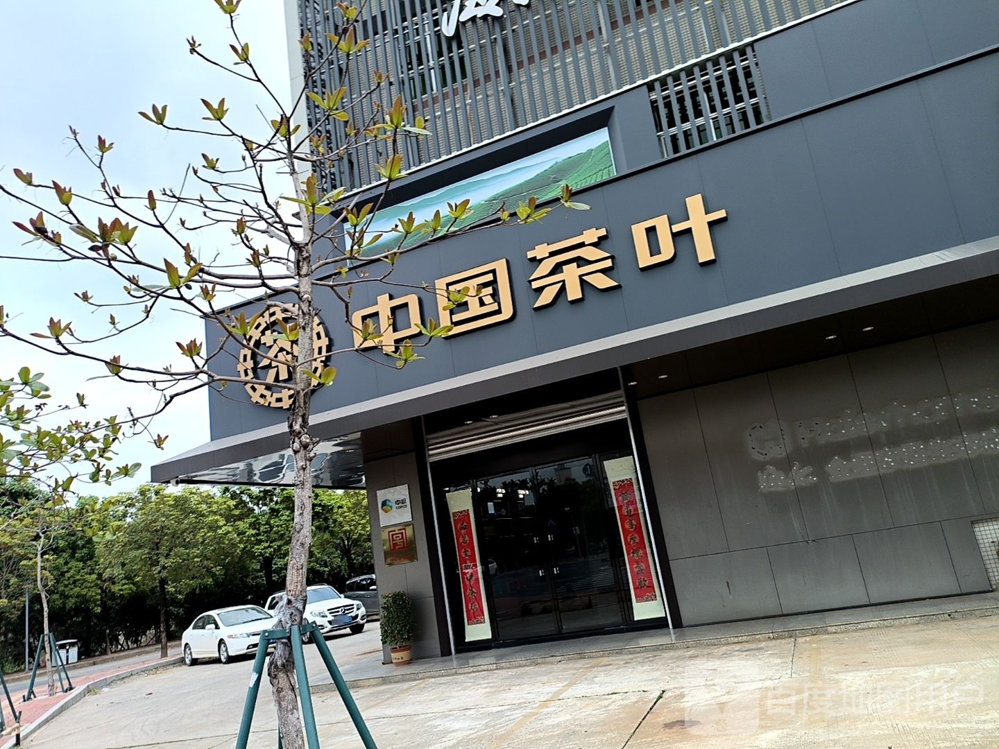 中国茶叶(海田连锁店)