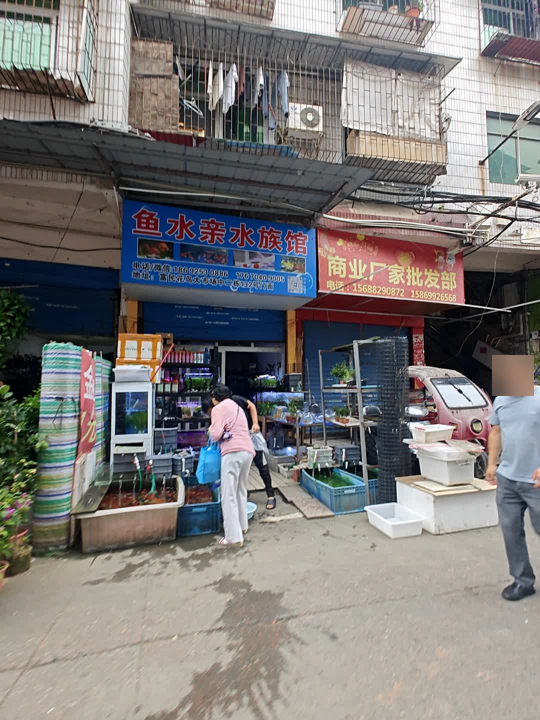 鱼水亲水族馆