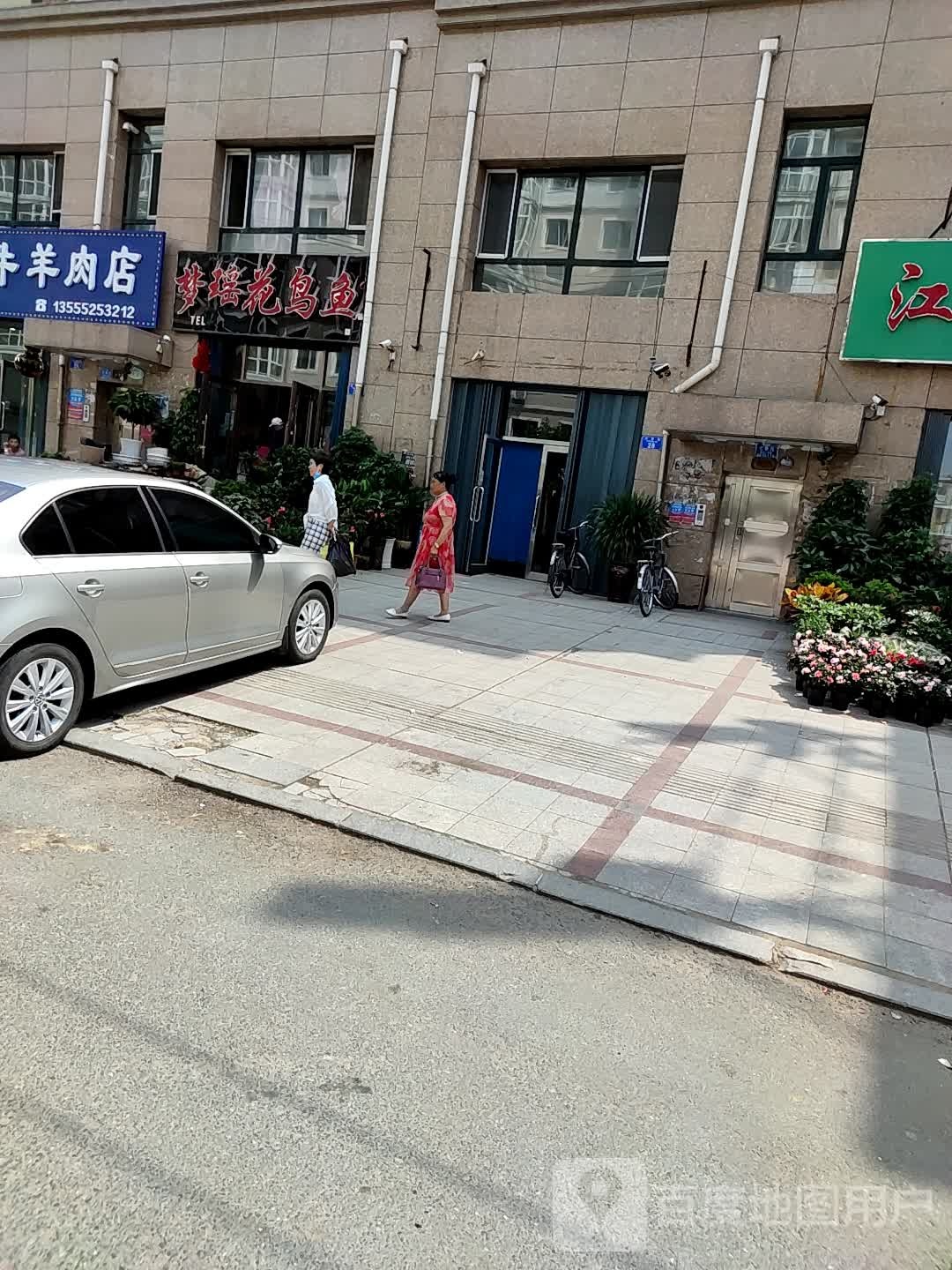 梦瑶花鸟鱼