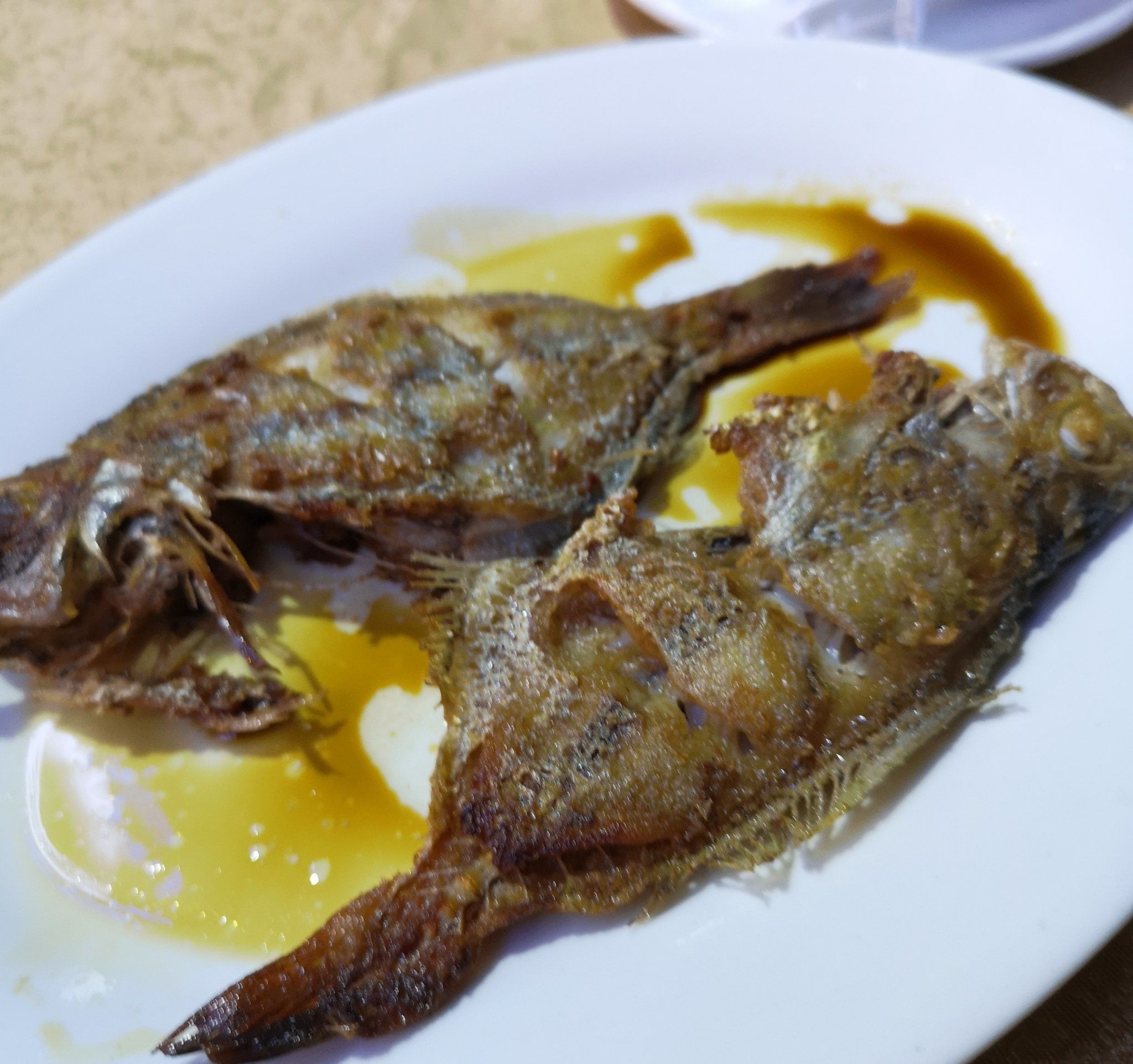 惠来浅海渔港(宝源店)