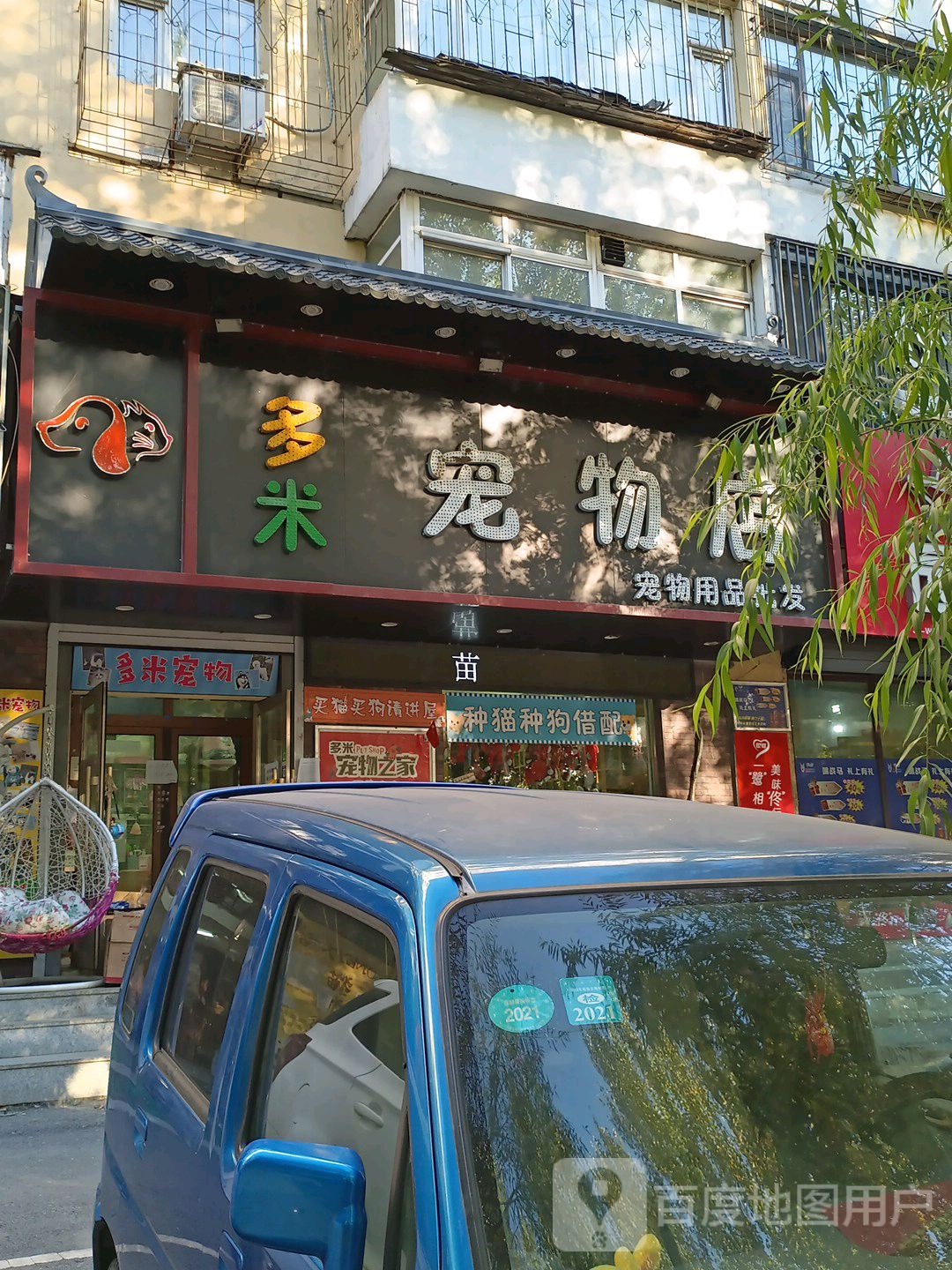 多米宠物店