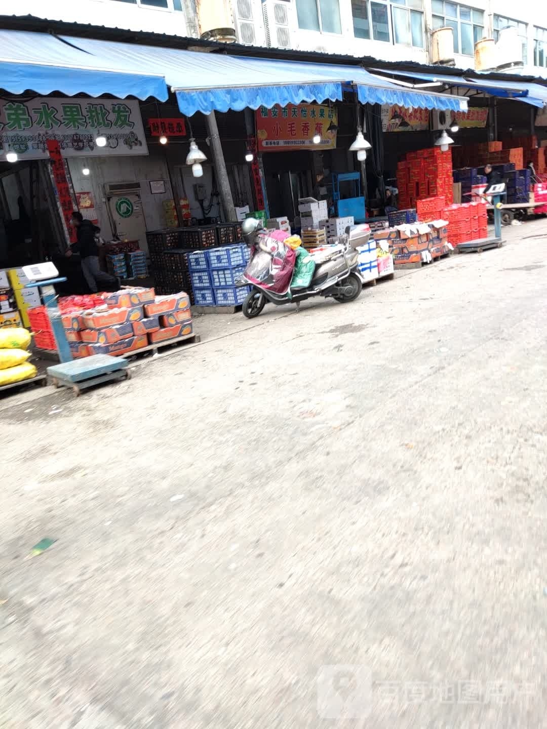 水果批发部(鹤山东路店)