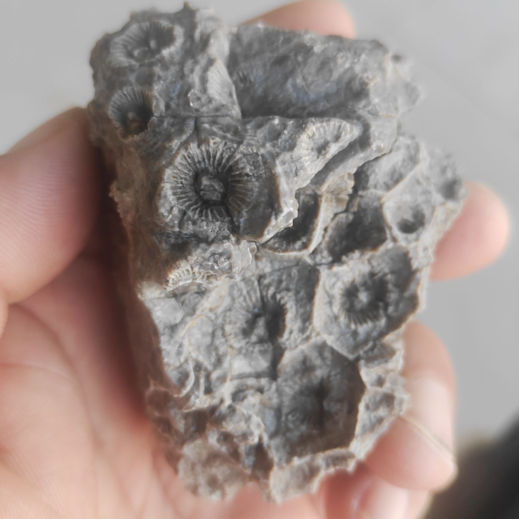 青海省柴达木综合地质勘查大队