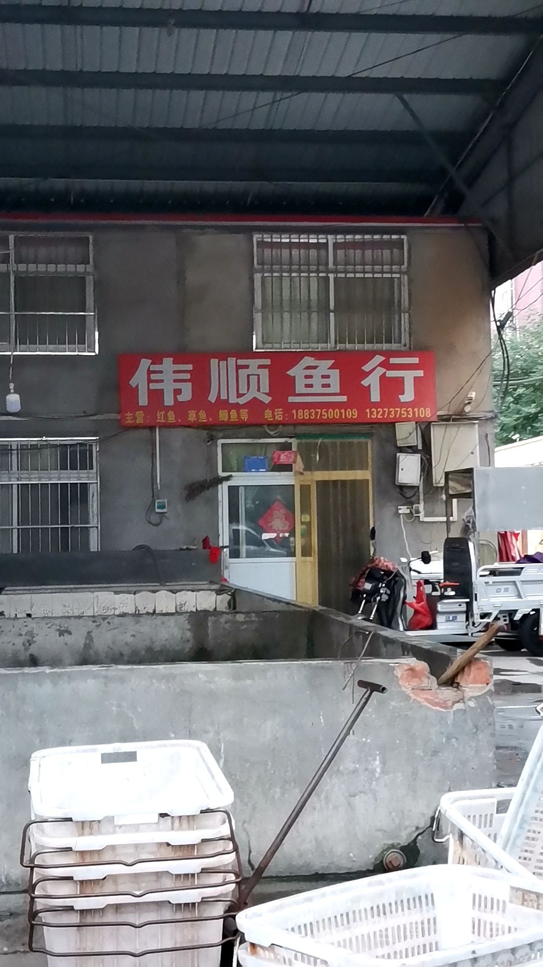 伟顺鱼行