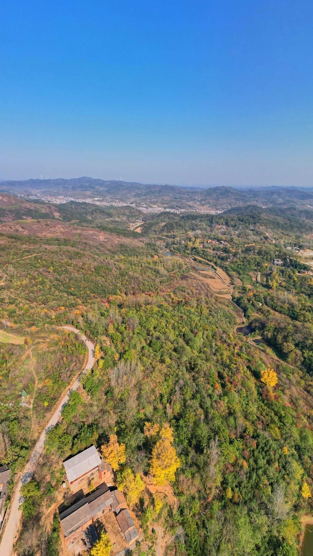 大别山银杏生态文化公园