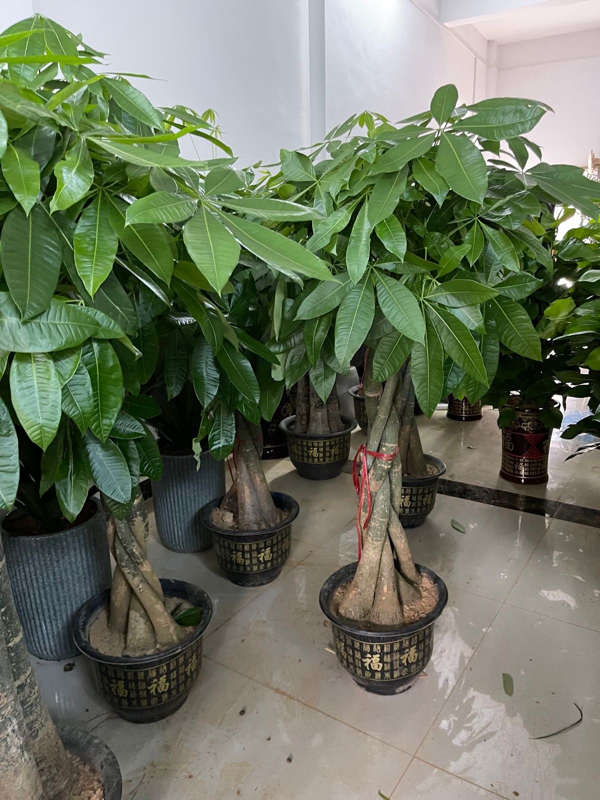 隆林有间花店(新兴西路店)